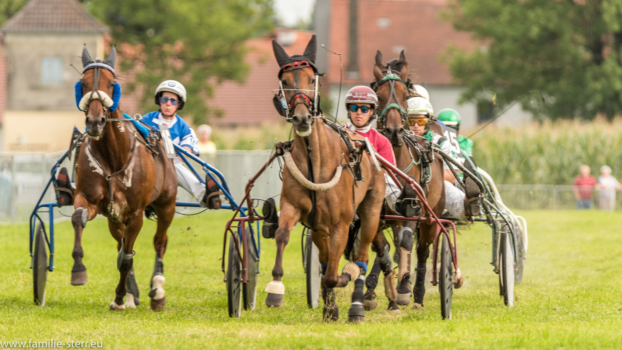 Trabrennen in Erding 2017